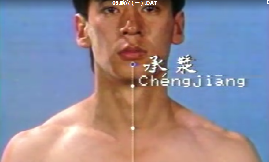 图片[5]-中国针灸学视频教程：各大学综合录制全30集从腧穴到刺法到常见病针灸方法-百度网盘下载