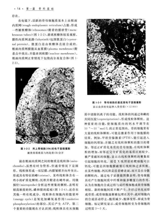 图片[2]-实用骨科学 第4版修订本(上下册)_胥少汀2019年PDF电子版下载