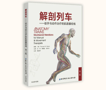 解剖列车 徒手与动作治疗的肌筋膜经线第3版_关玲PDF电子版下载