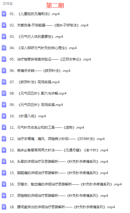 图片[3]-刘长青元气针灸问道三十六病两期32集中医视频教程-百度网盘下载