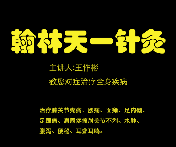 图片[1]-【2020瀚林天一疗法】王作彬中医针灸治疗疼痛视频教程-百度网盘下载